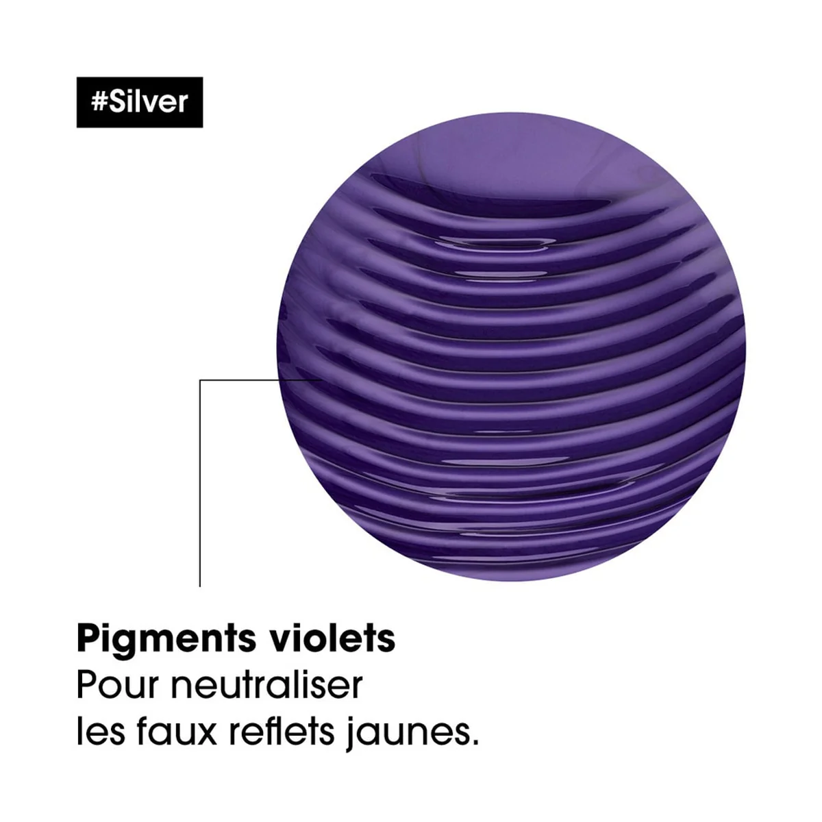 Shampoing Silver L'Oréal Professionnel 300 ML - Image 3